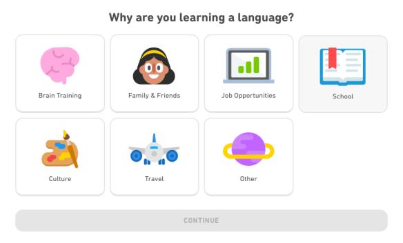 This screenshot shows the different ways to use Duolingo. You can learn a language for fun, business, school, travel, or any other reason! Duolingo courses cater to your needs.