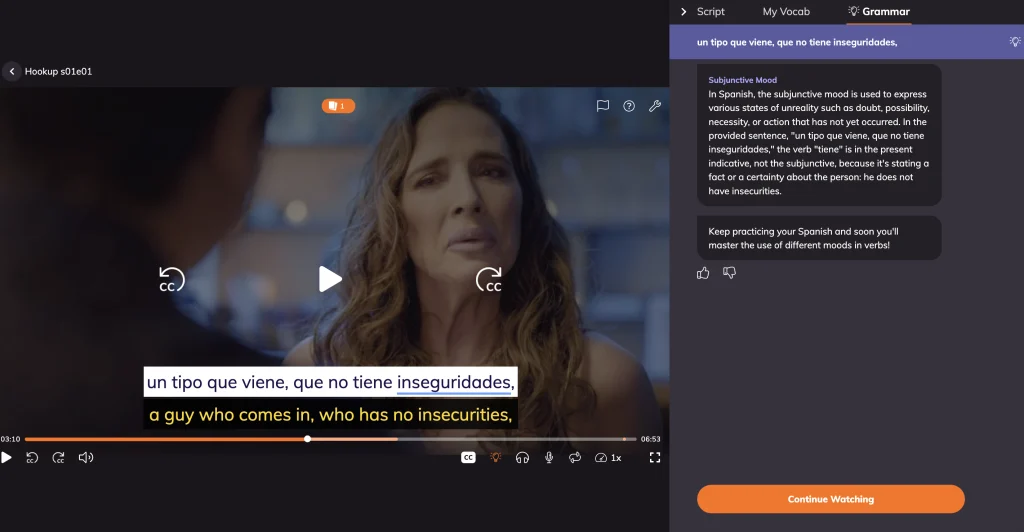 LingoPie grammar feature