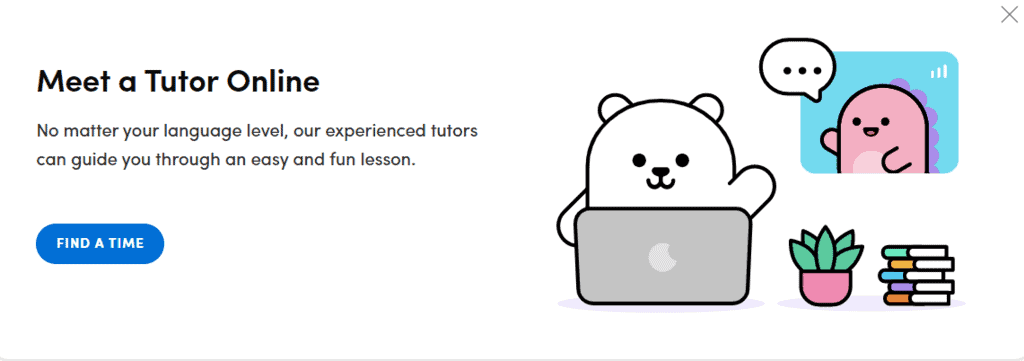 chatterbug teacher