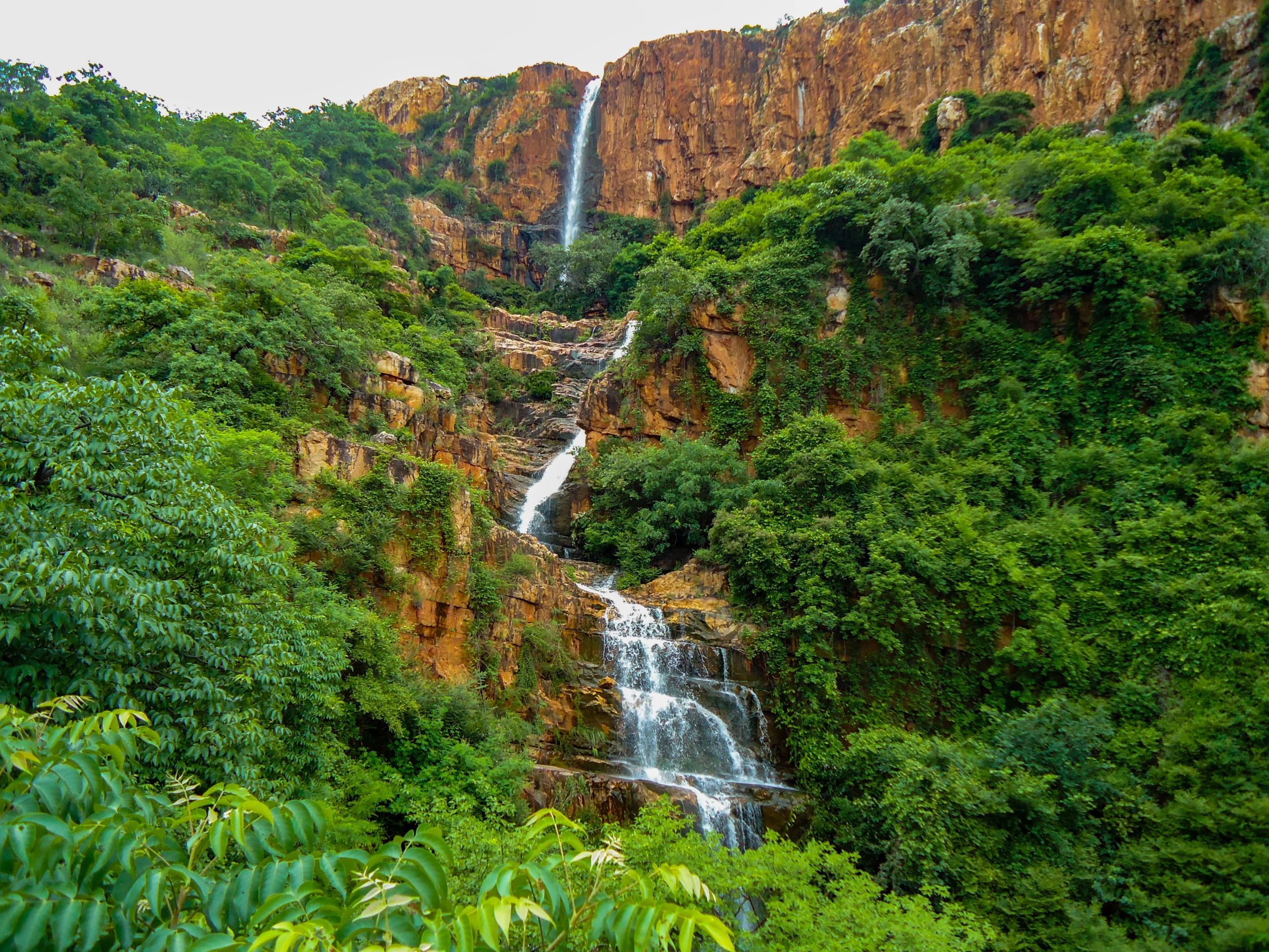 How to Learn Telugu: 6 Easy Ways to Learn the Telugu Language