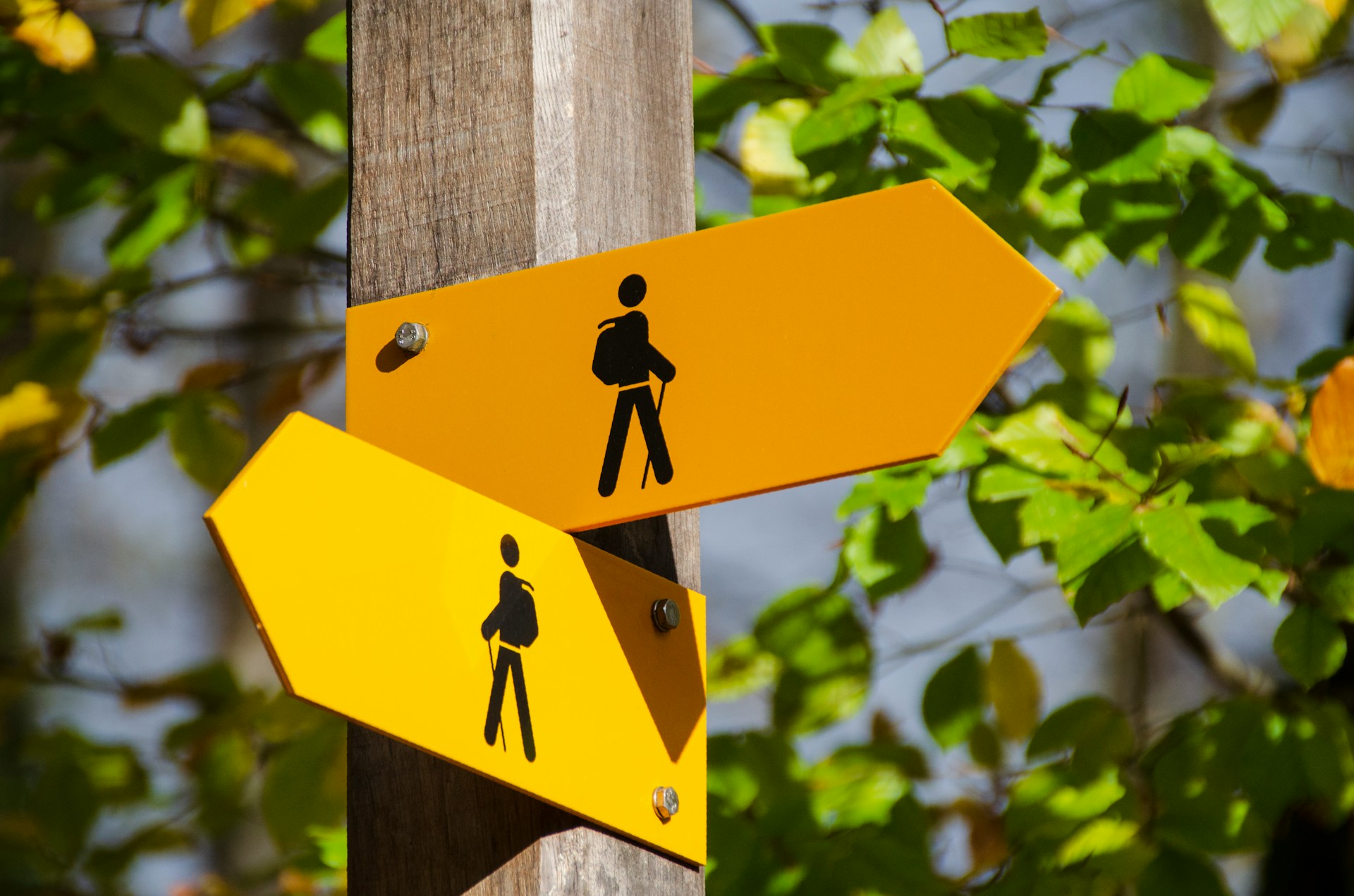 “Ir” vs “Irse”: Understanding Their Differences in Spanish