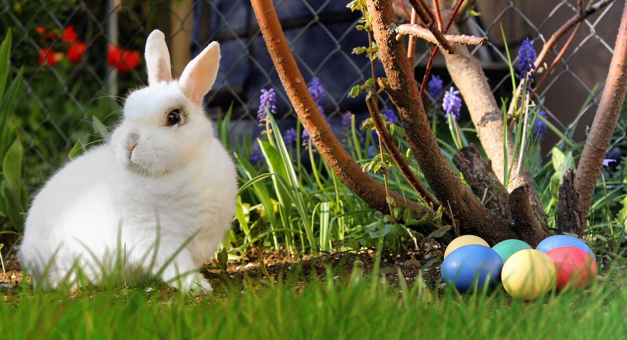 Easter bunny with eggs