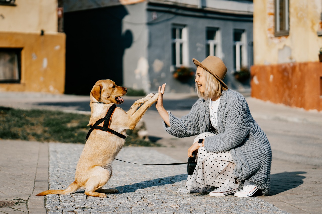 A girl training her dog